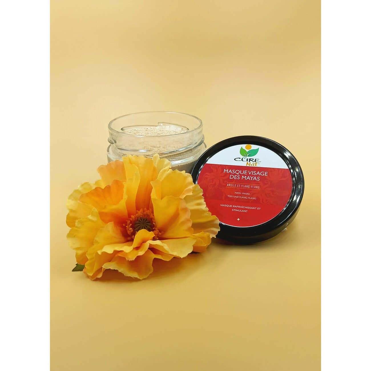 Masque Visage des Mayas Argile et Ylang-Ylang - Nettoyage des pores en profondeur-1