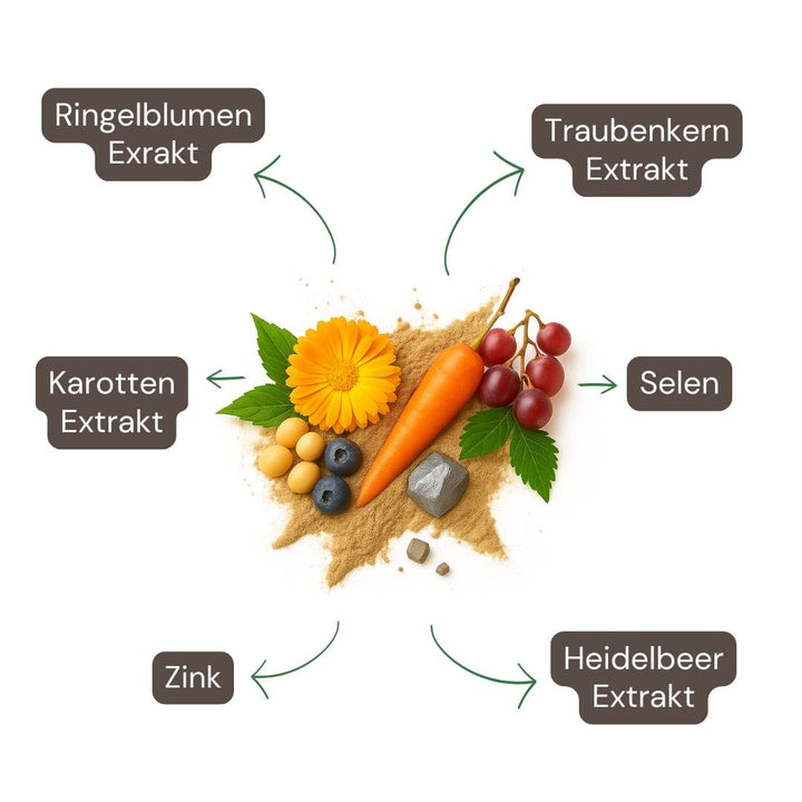 Augen Komplex Kapseln-1