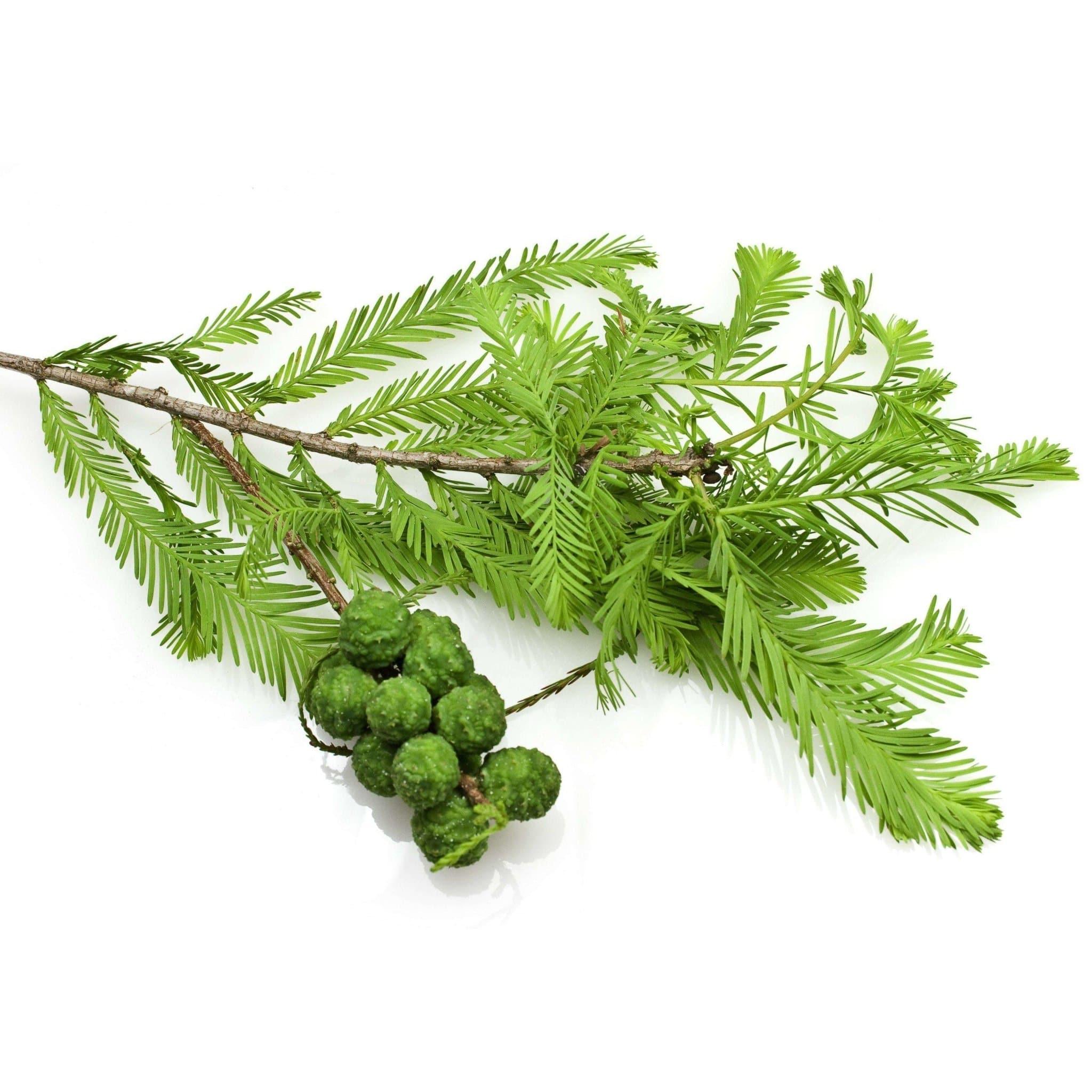 Déodorant Cyprès-2