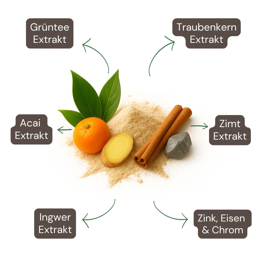 Fat Burner Kapseln-1