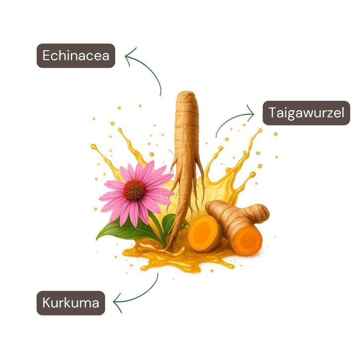 Schutzschild Pflanzenextrakt-Spray 50ml-1